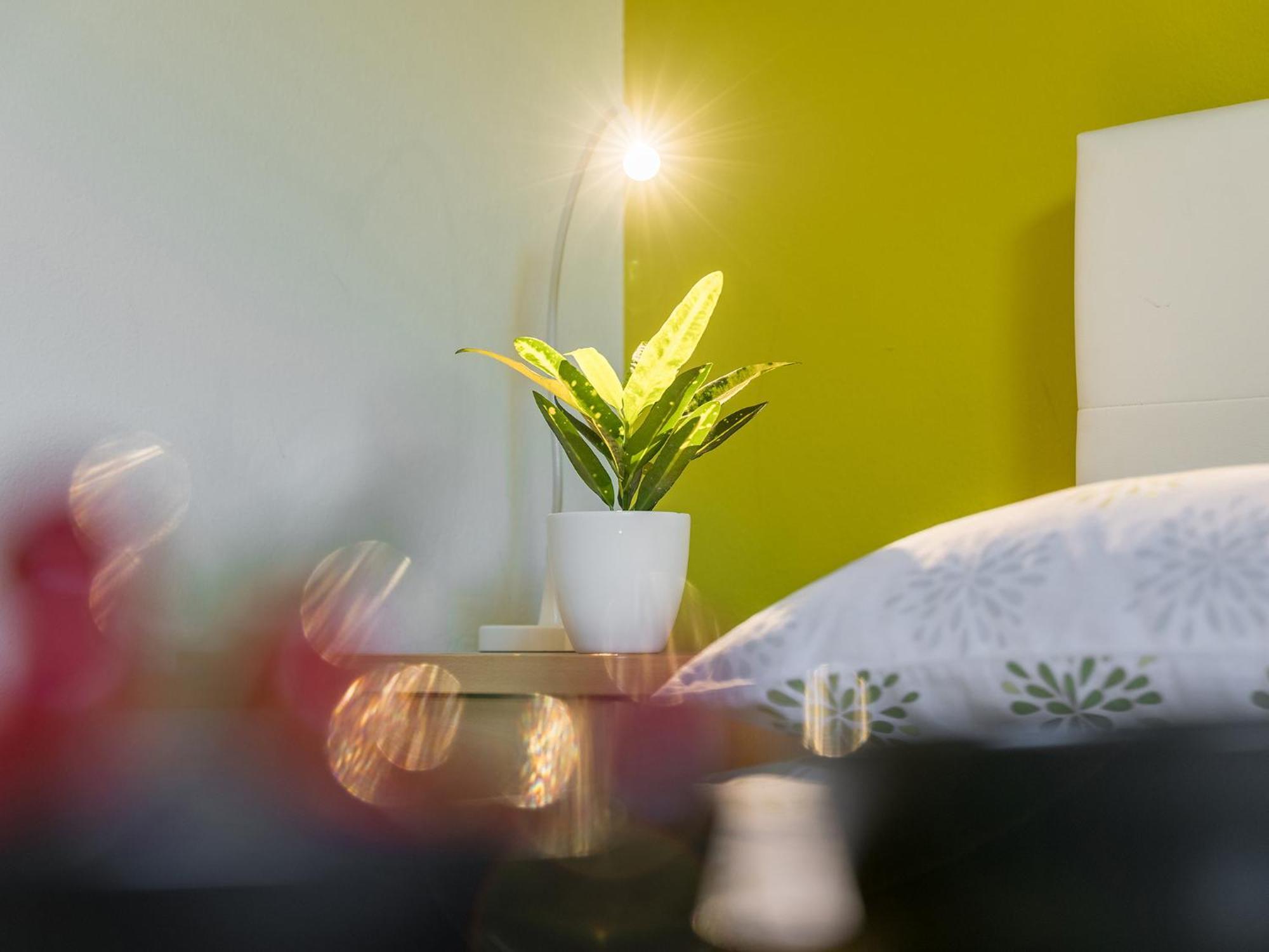 Aida Apartment Porec
